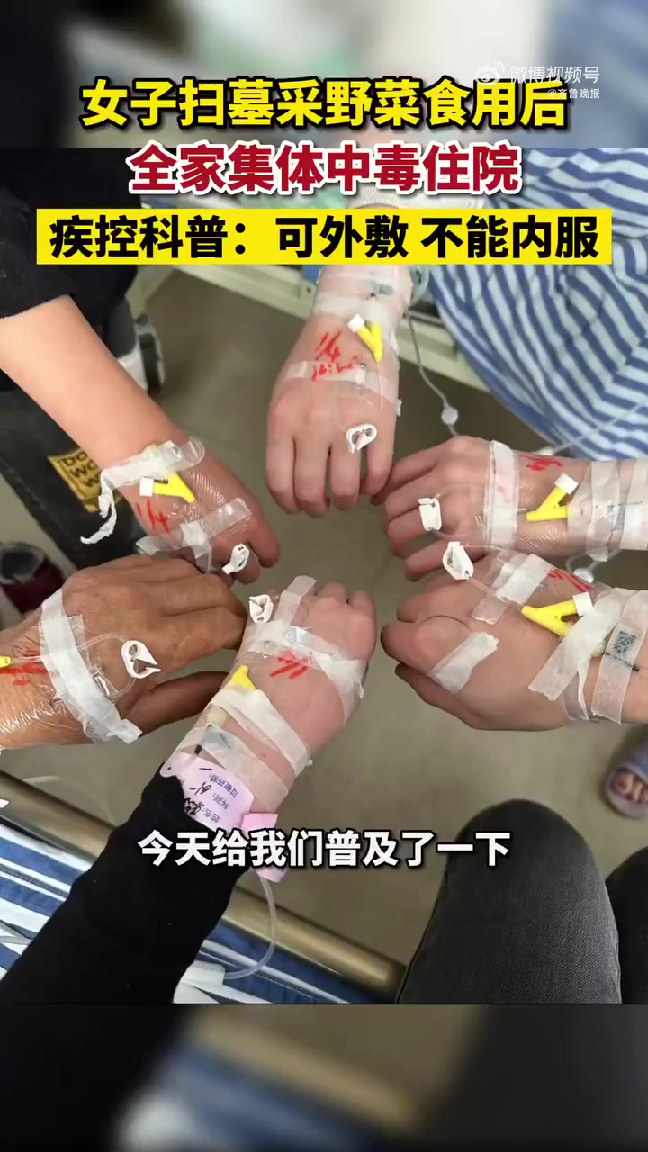 一家6口扫完墓挖野菜吃中毒住院「路边的野菜不要采!女子扫完墓挖野菜吃全家中毒住院」4月1日