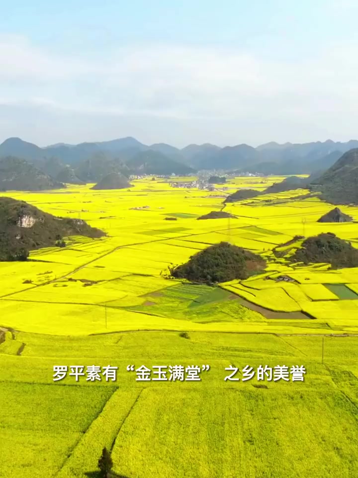 2023遇见新西安 千年古都 常来长安 春暖花开、万物复苏,正是赏花的好时节,全国这十大赏