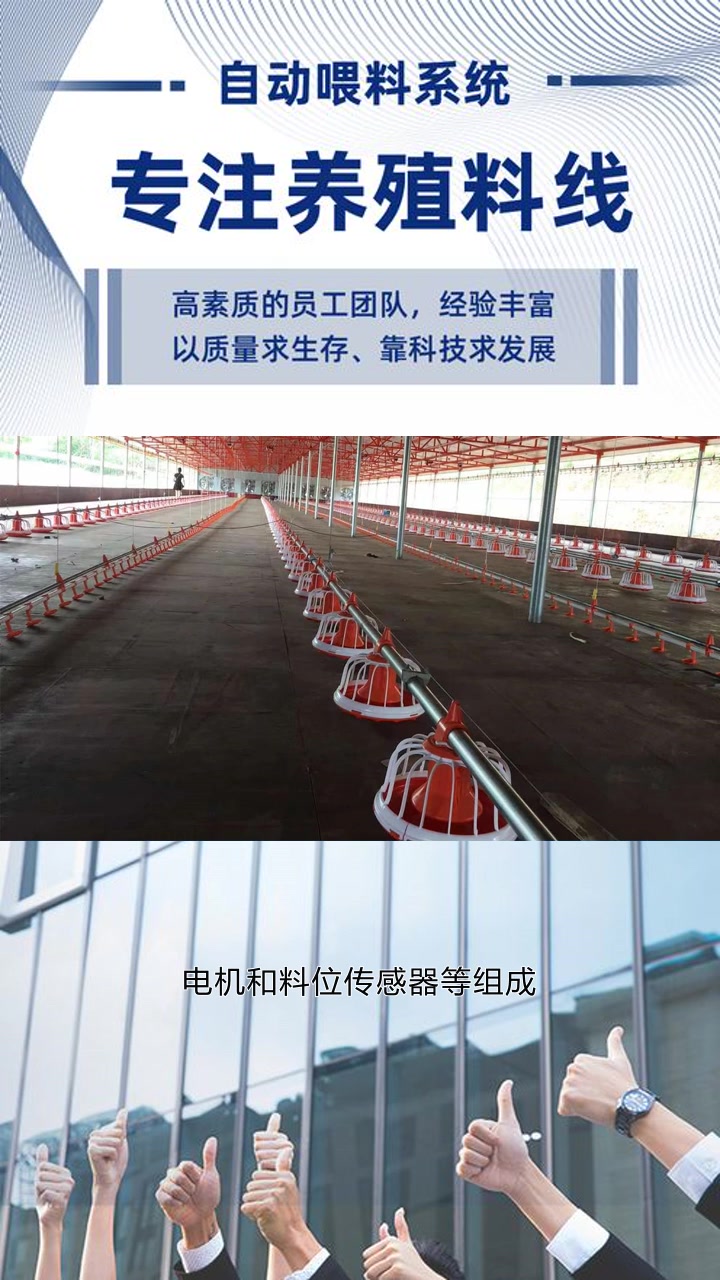 内蒙养猪料线 养猪料线生产厂家 湖南肉鸡料线 河北肉鸡料线