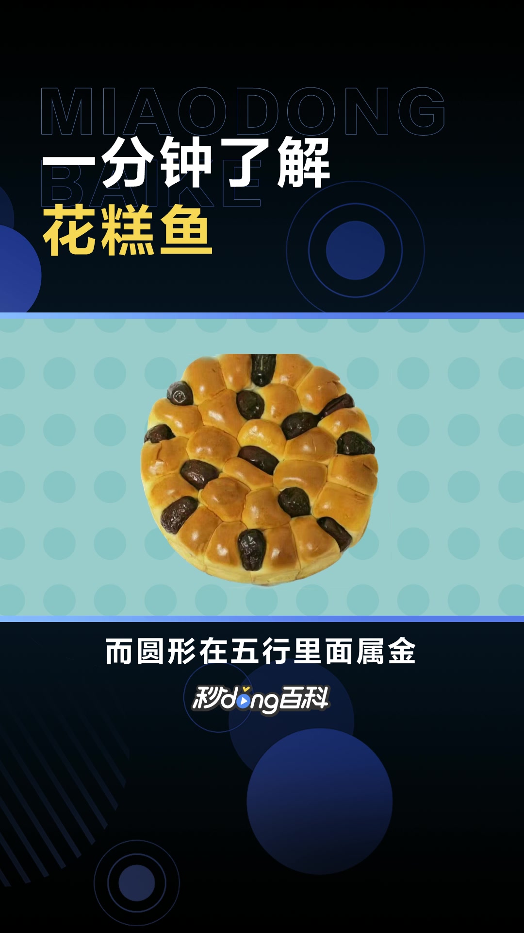 一分钟了解花糕鱼