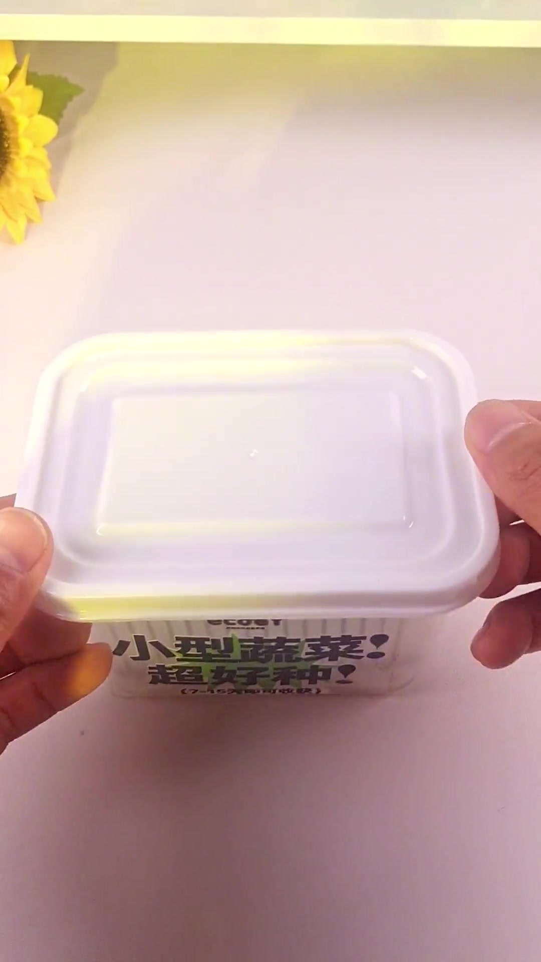 Ecoey儿童水培种植,快来陪孩子一起种菜吧好发芽 水培植物 亲子手工 治愈系种子盆栽 在