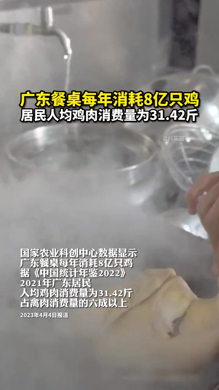 据悉,在目前认定的199个“粤菜名品”中,24个菜肴与“鸡”有关,白切鸡烹饪技艺、客家盐焗
