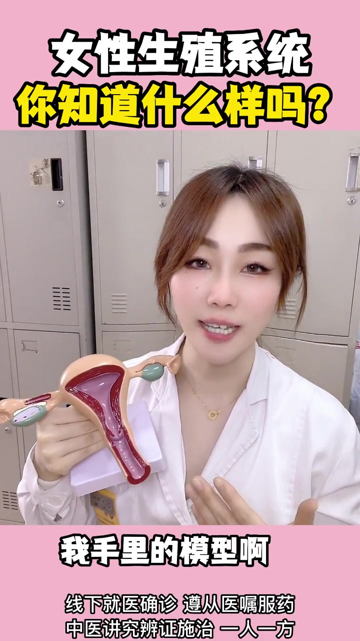 女性生殖系统,你知道什么样吗?大白兔医生 医学科普 健康 男性