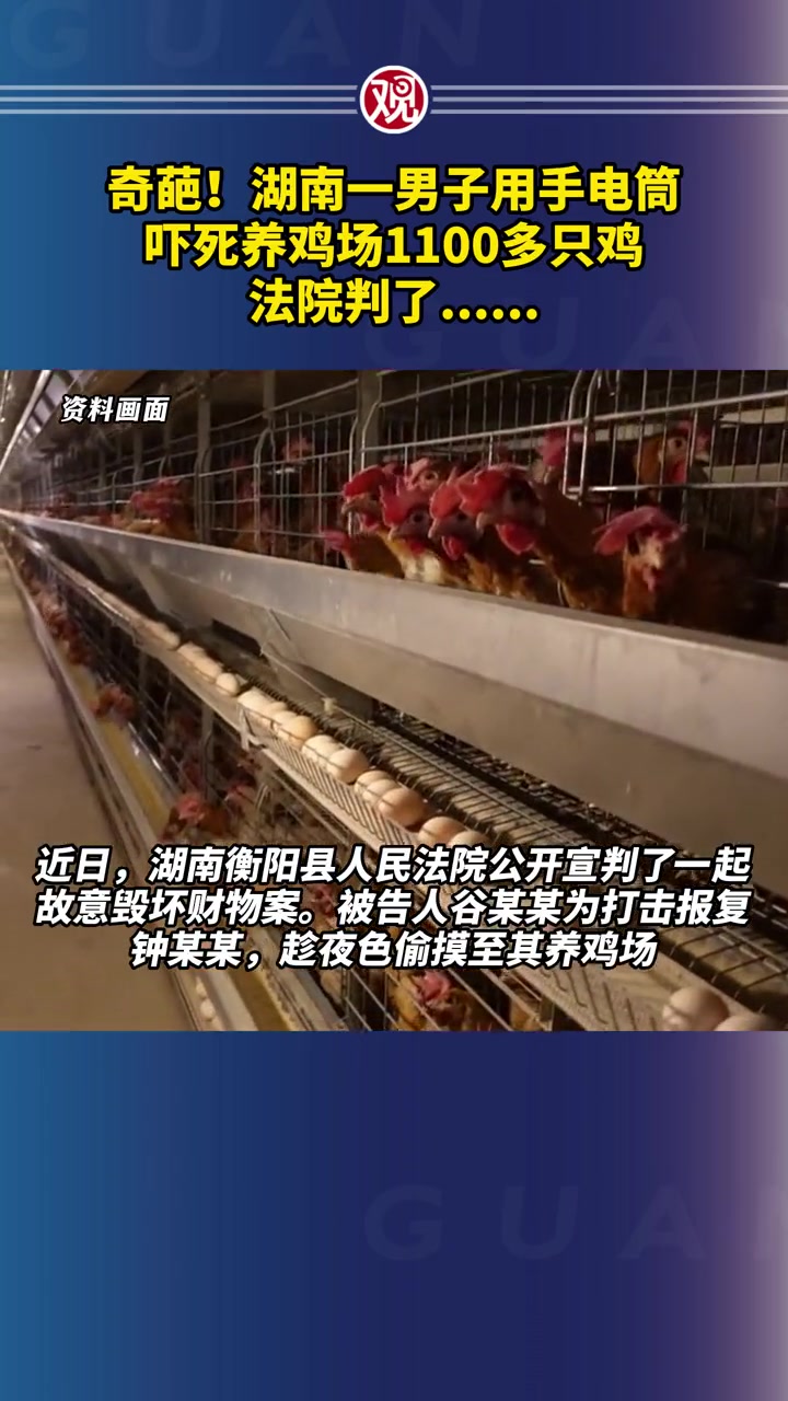 奇葩!湖南一男子用手电筒吓死养鸡场1100多只鸡,法院判了……