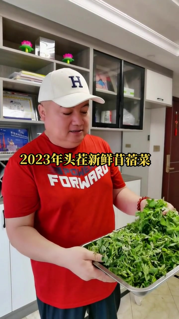 走南闯北的游子们,老家的苜蓿芽菜长出来了,今年的特别的嫩 优质农产品 三农 农产品推荐官 