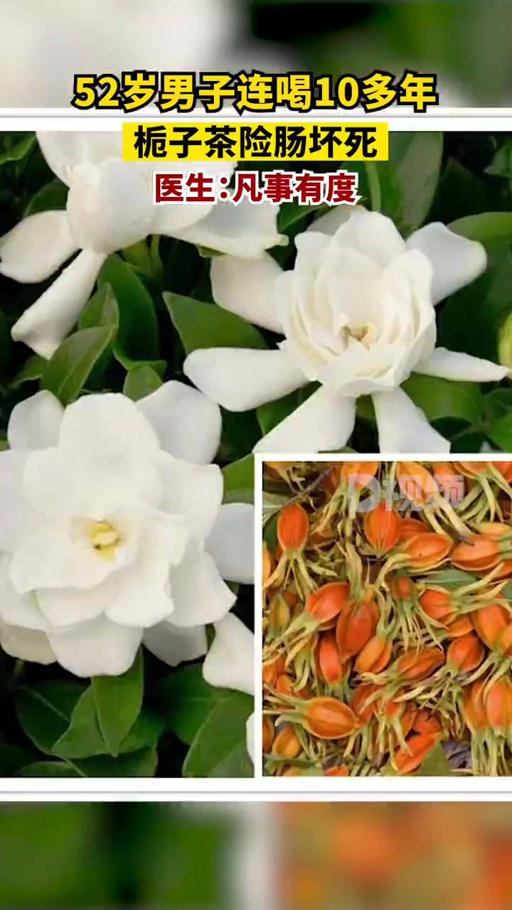 「男子连喝10多年栀子茶险肠坏死,医生:长期大量饮用中草药茶需谨慎」近日,浙江杭州,52岁