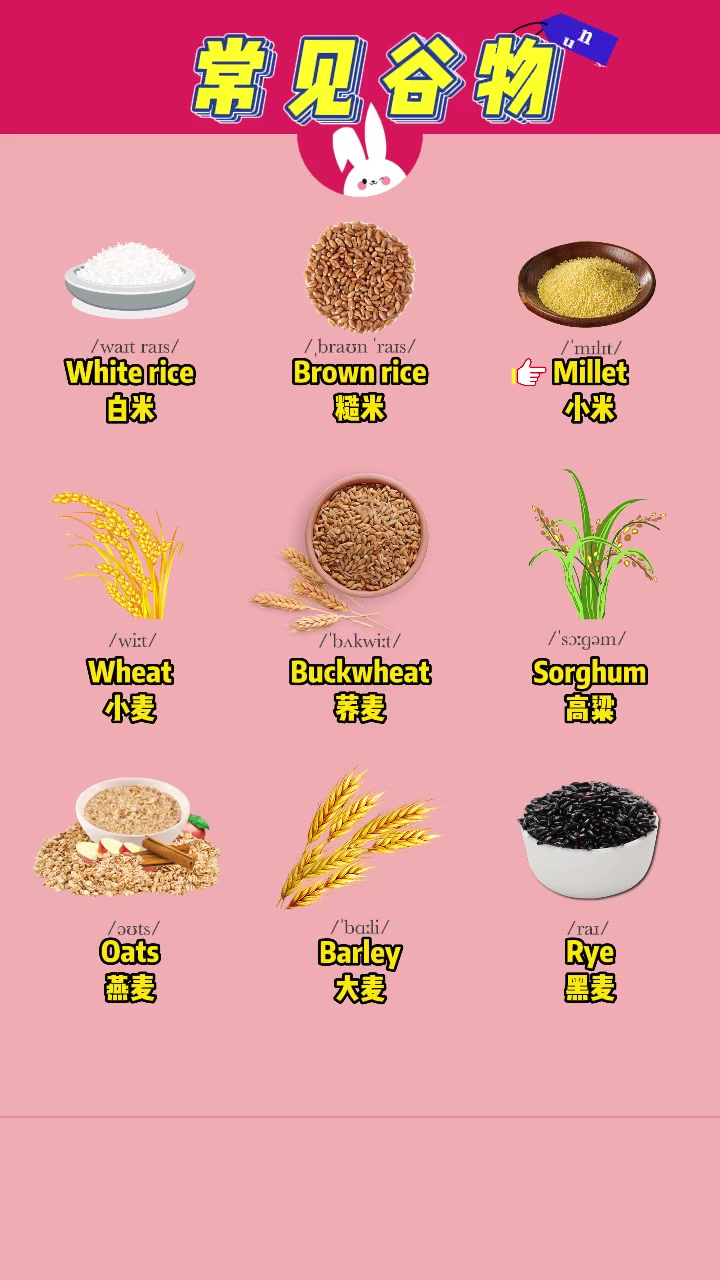 第92集|常见谷物英语 英语启蒙 每天学习一点点 英语 零基础英语 家长收藏孩子受益