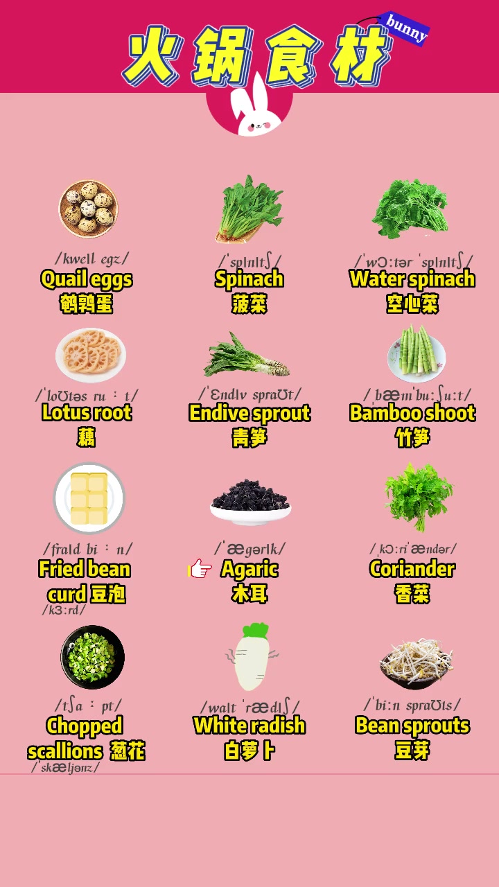 第82集|火锅食材英语 每天学习一点点 零基础英语 英语 家长收藏孩子受益 英语启蒙