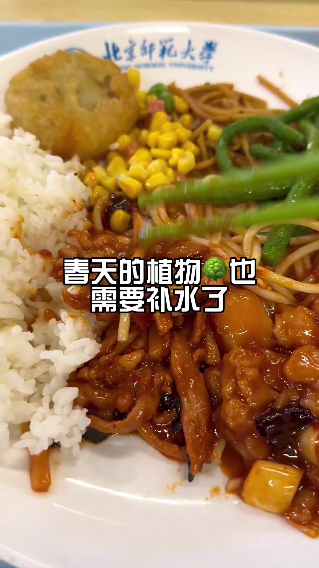 带大家看看10元的午餐标准 北京师范大学 大学食堂 食堂打饭 今天吃什么