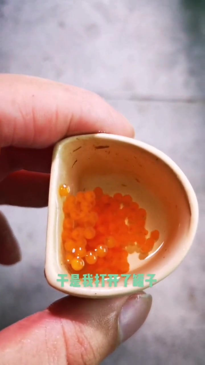 中小型鱼缸里最实用的擦缸鱼 观赏鱼 异型鱼 养鱼日记 南美观赏鱼 养鱼 热带观赏鱼