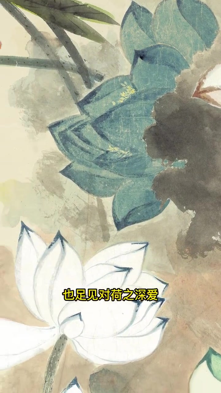 张大千先生画的五色荷花,富贵平安,寓意美好 国画