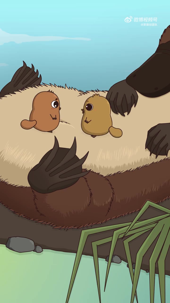 又能下蛋又能产奶,自己就能做蛋挞了 鸭嘴兽