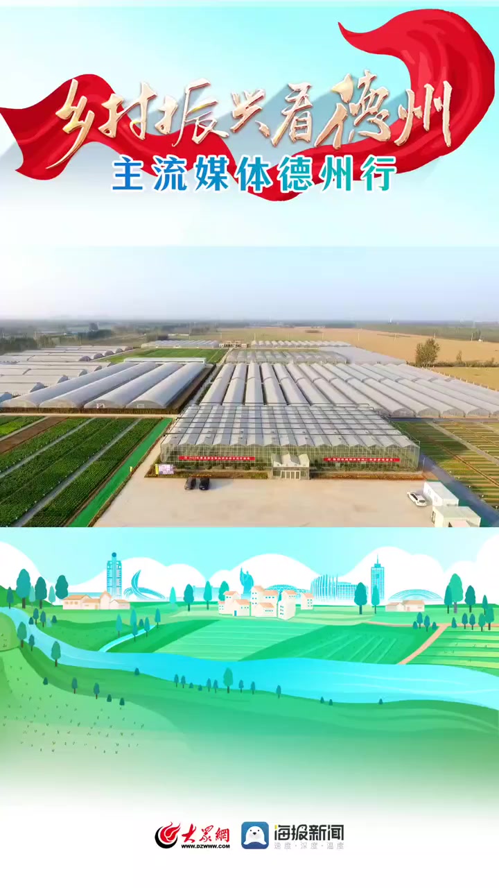 乡村振兴看德州丨德州德高种业攥紧种业“芯片” 给蔬菜装上“中国芯”