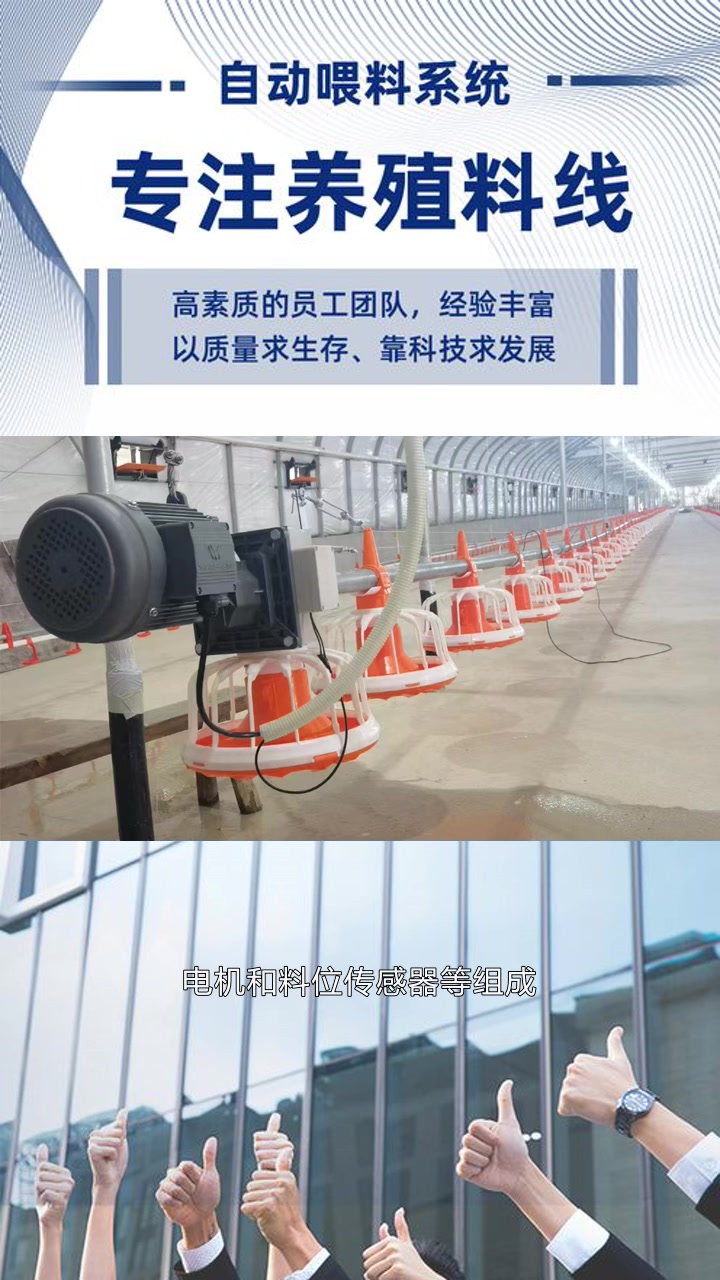 湖南肉鸡料线 肉鸡料线定做 福建肉鸡料线 湖南肉鸡料线