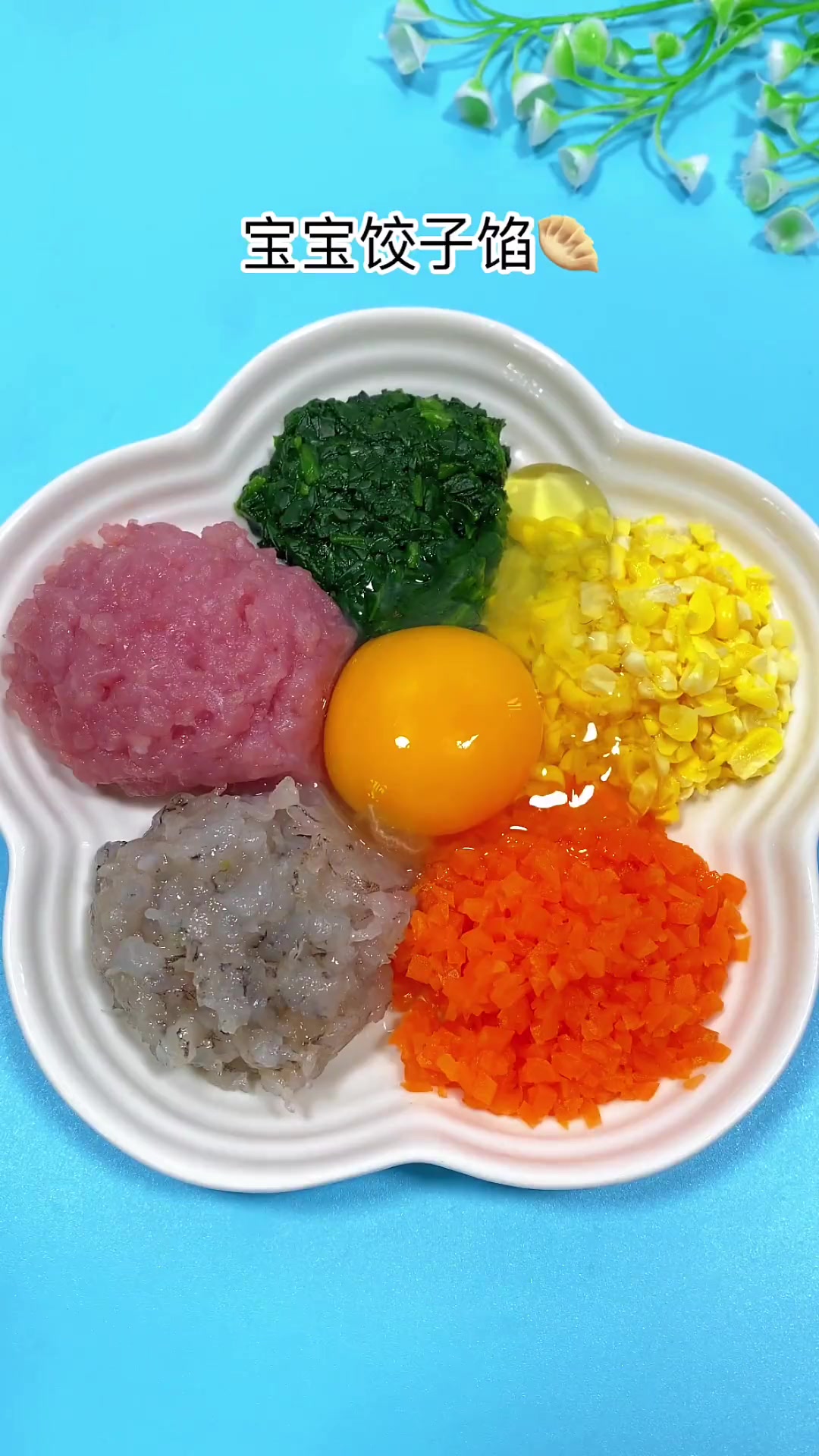 宝宝饺子,馄饨,水饺馅料这样搭配,太鲜美了921好物节 妈呀太香了 辅食教程