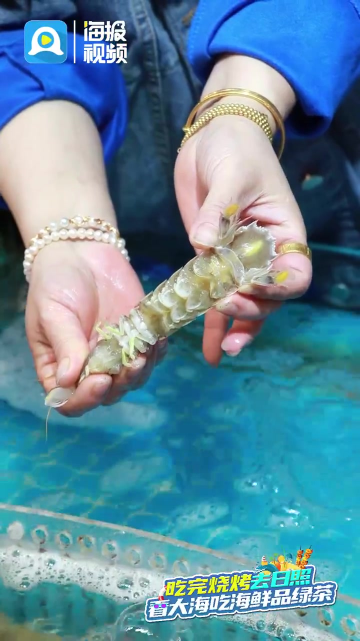 吃完烧烤来日照|海鲜篇:春味正好,日照“虾婆”透肥!震鲜!