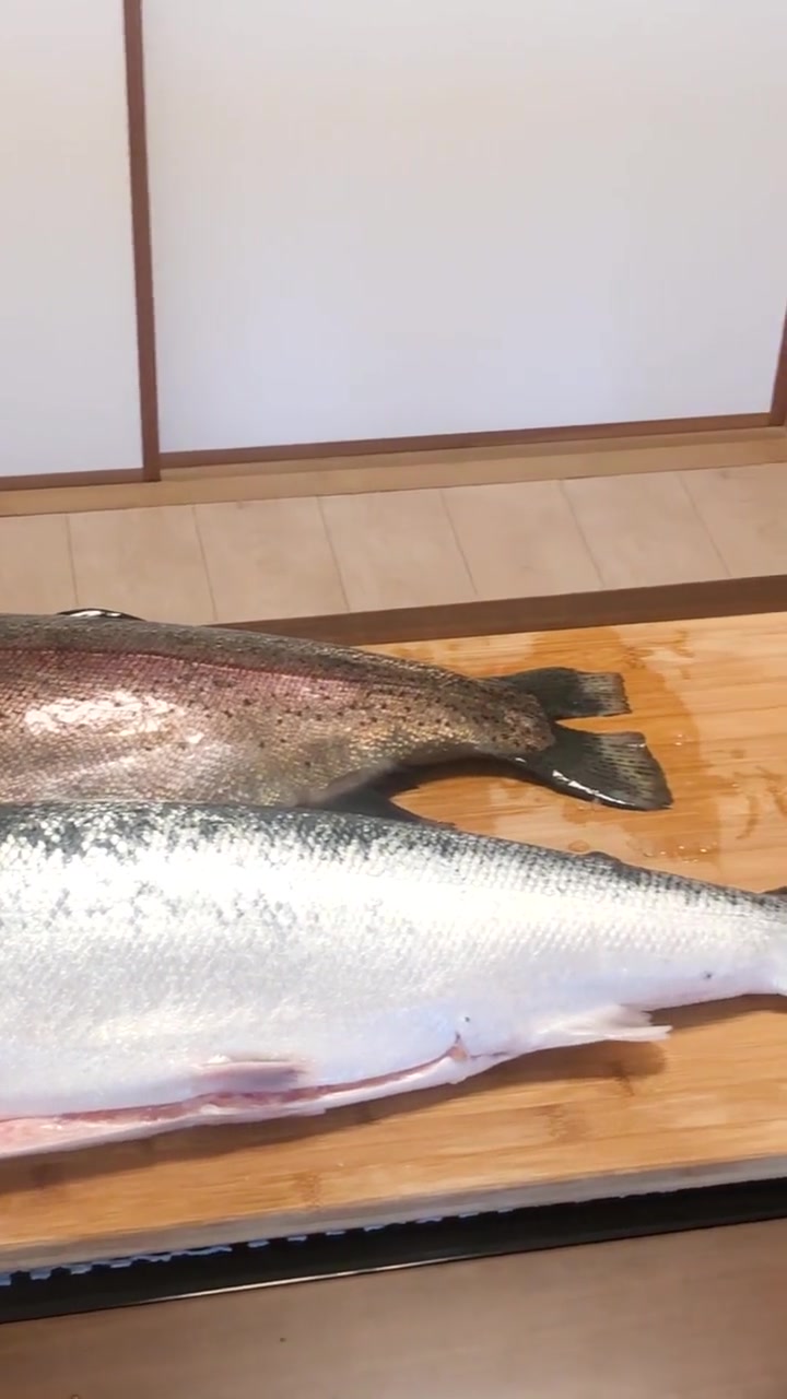 原来大西洋鲑和虹鳟鱼的区别这么大!