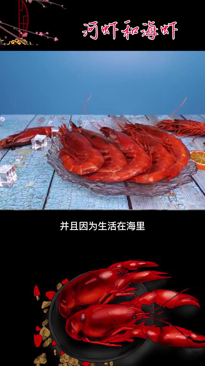 河虾和海虾到底哪个好?为啥海虾要贵一些?