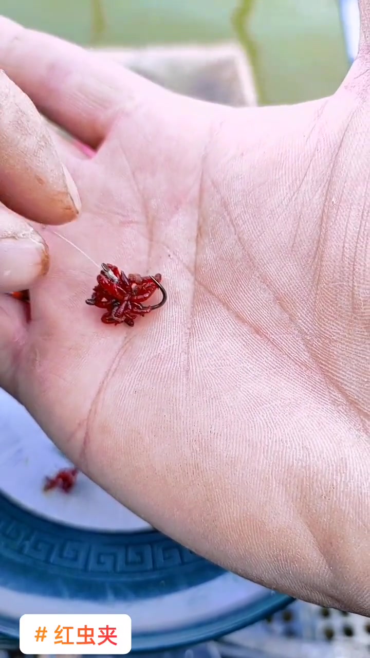 红虫挂钩小方法,可以让中鱼率大大提高!