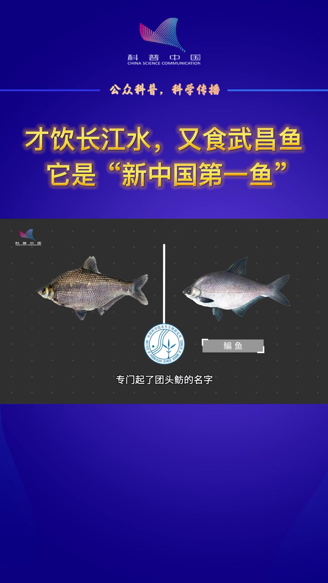 武昌鱼:大国渔业系列科普——才饮长江水