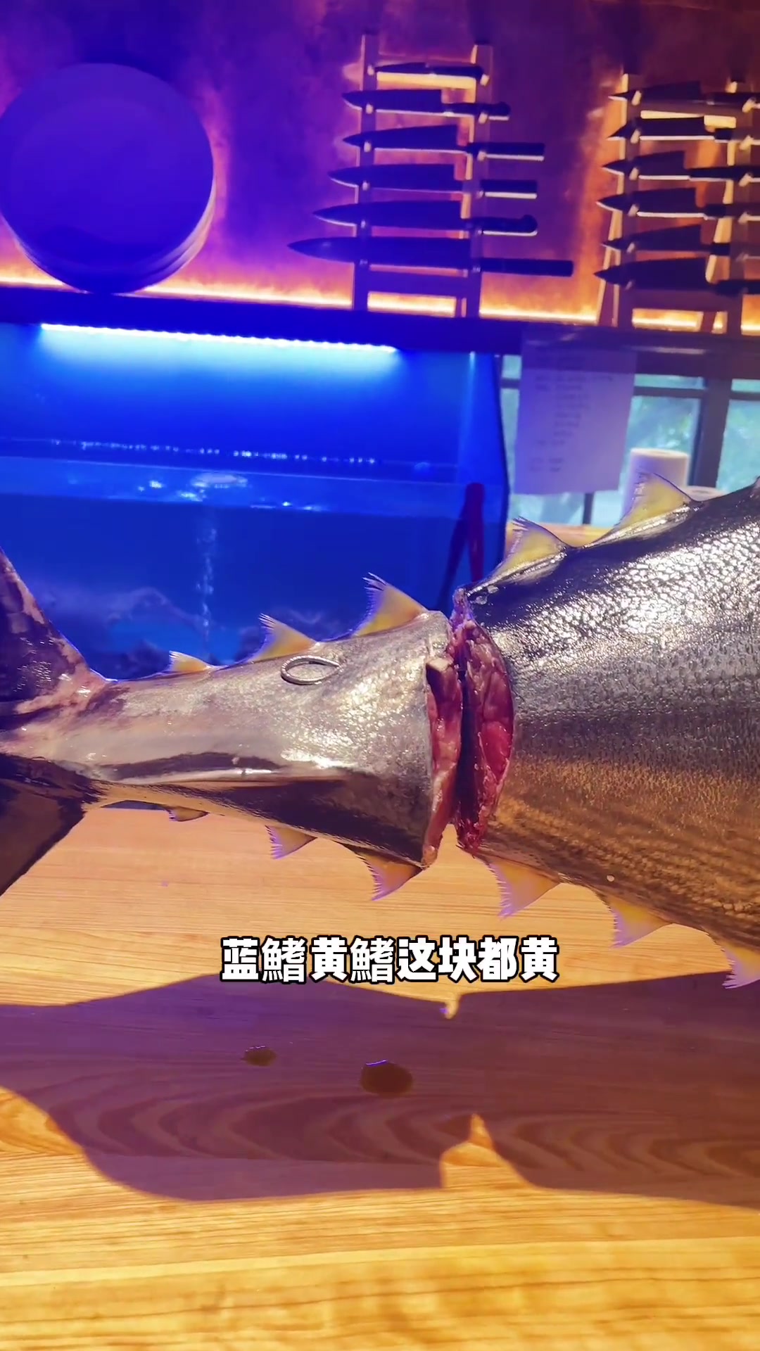 蓝鳍金枪和黄鳍金枪鱼要怎么区分