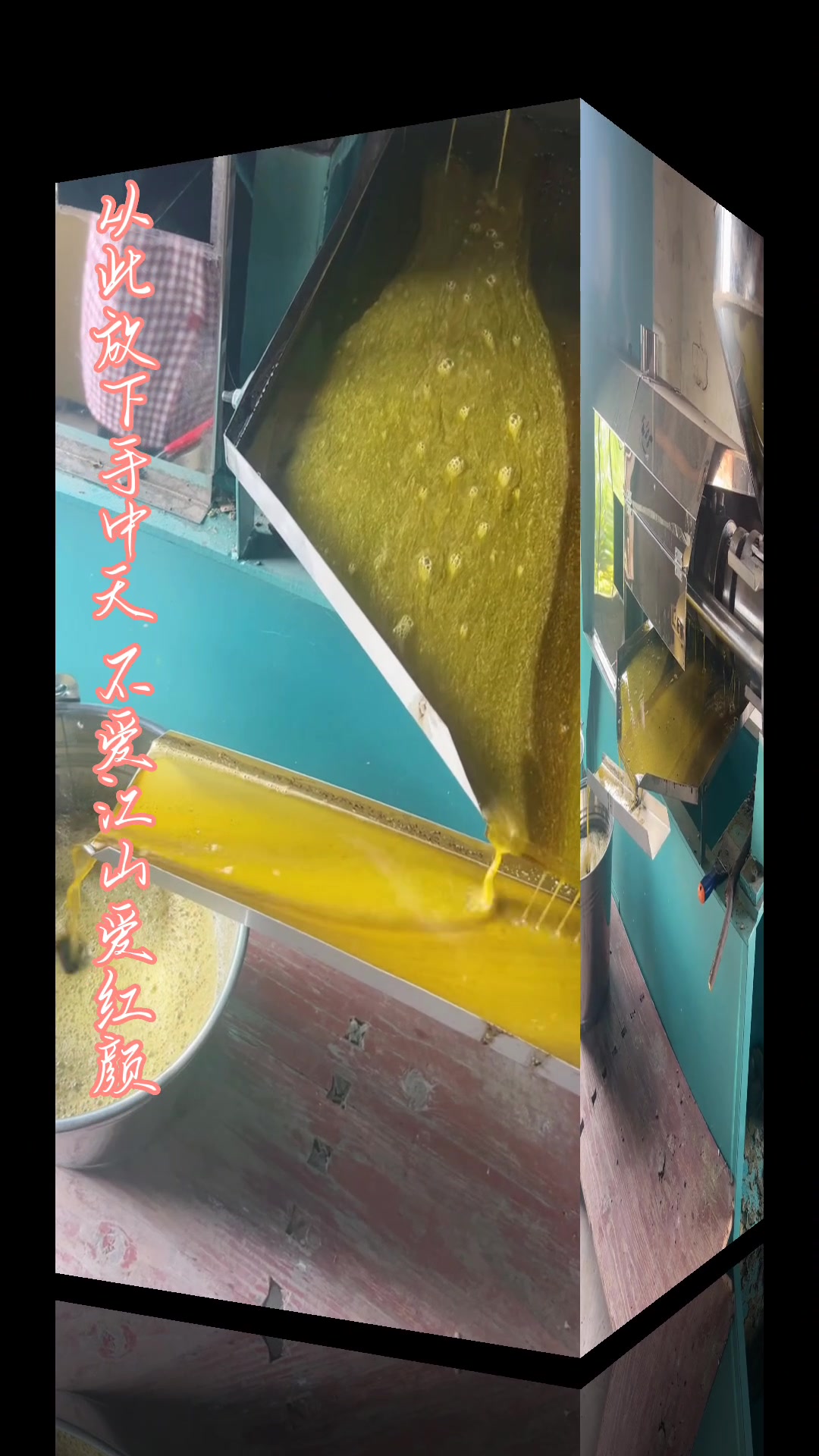 油菜籽榨油机 生榨技术现场实拍