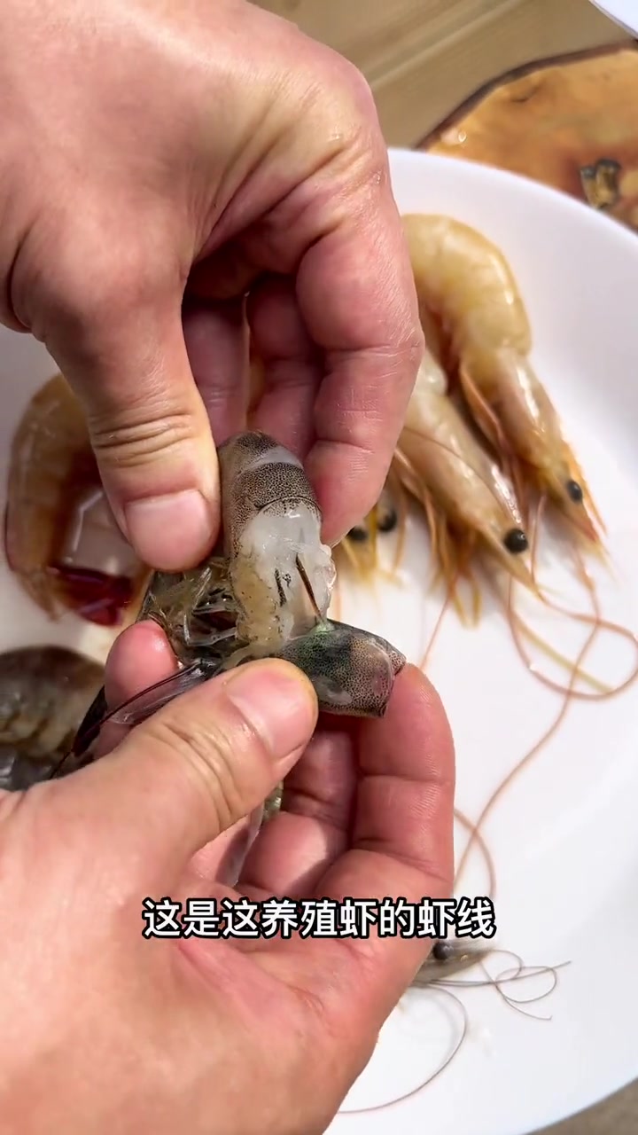 如何辨别养殖海虾和野生海虾