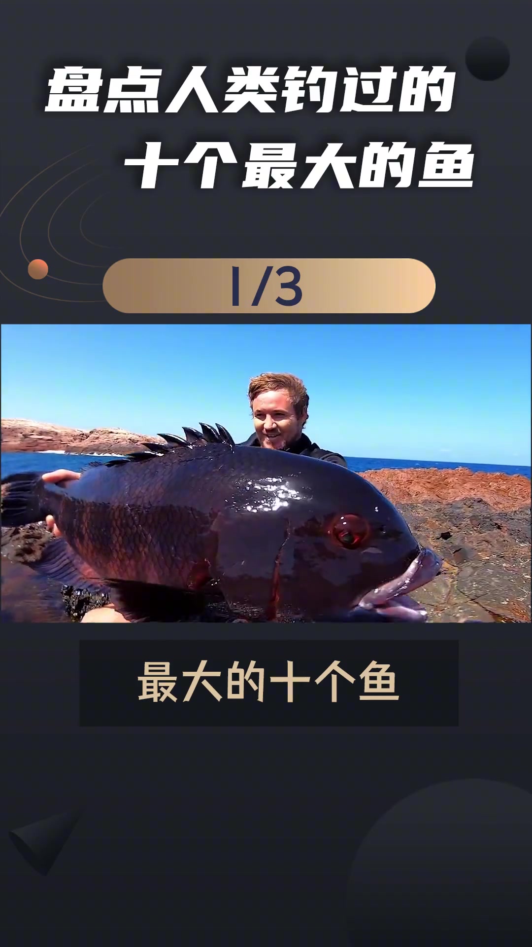 类钓过最大的十条鱼,你知道几个?最后一种被誉为海洋霸主!