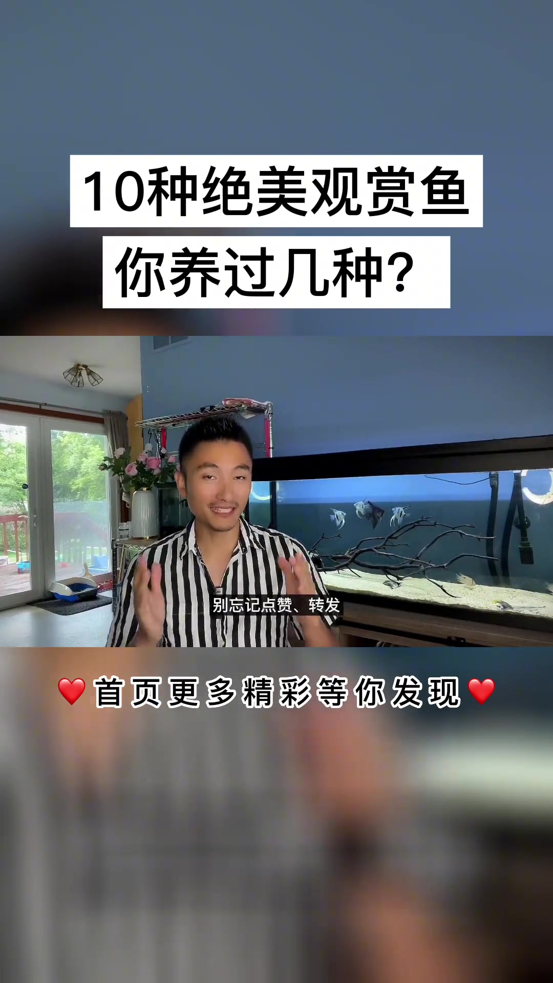 天!我喜欢的10种淡水观赏鱼,今天全部推荐给你,立刻养起来