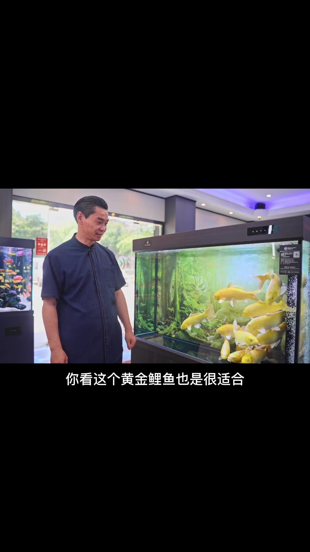 “强金得水,方挫其锋” 鱼缸摆放也有方位讲究