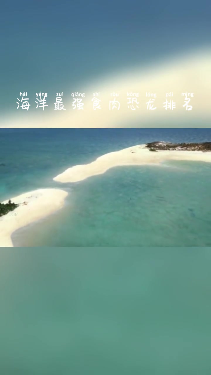 海洋最强食肉恐龙排名