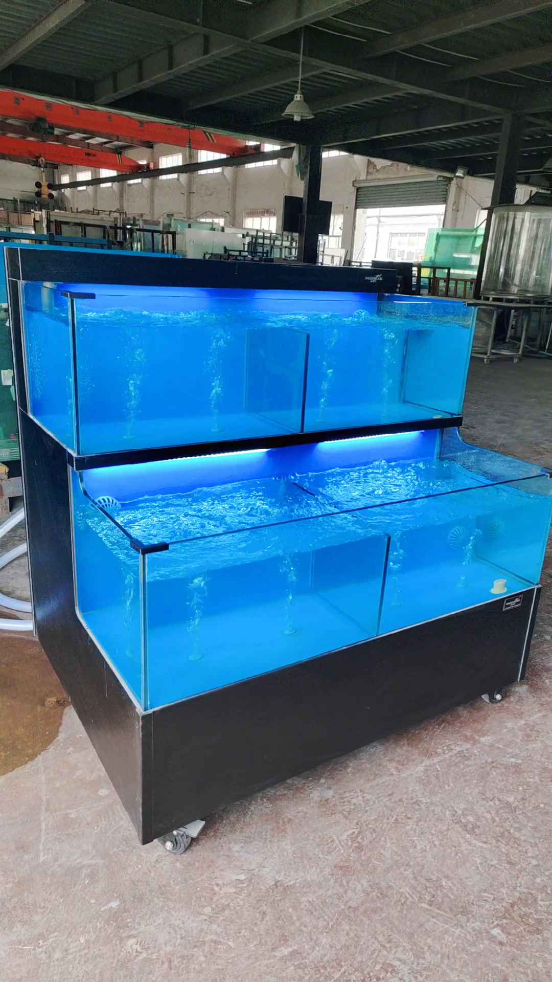 海鲜池,淼深水族-海鲜池鱼缸定制生产厂家