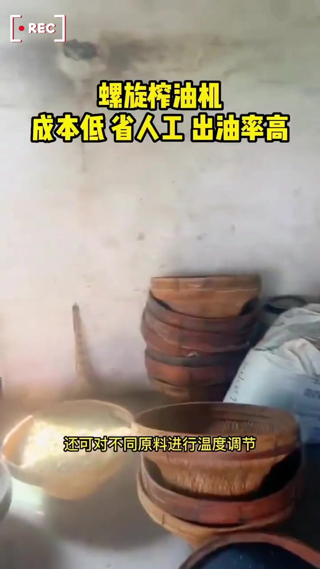 全自动菜籽油榨油机 小型压榨花生油机器设备 葵花籽油榨油机子