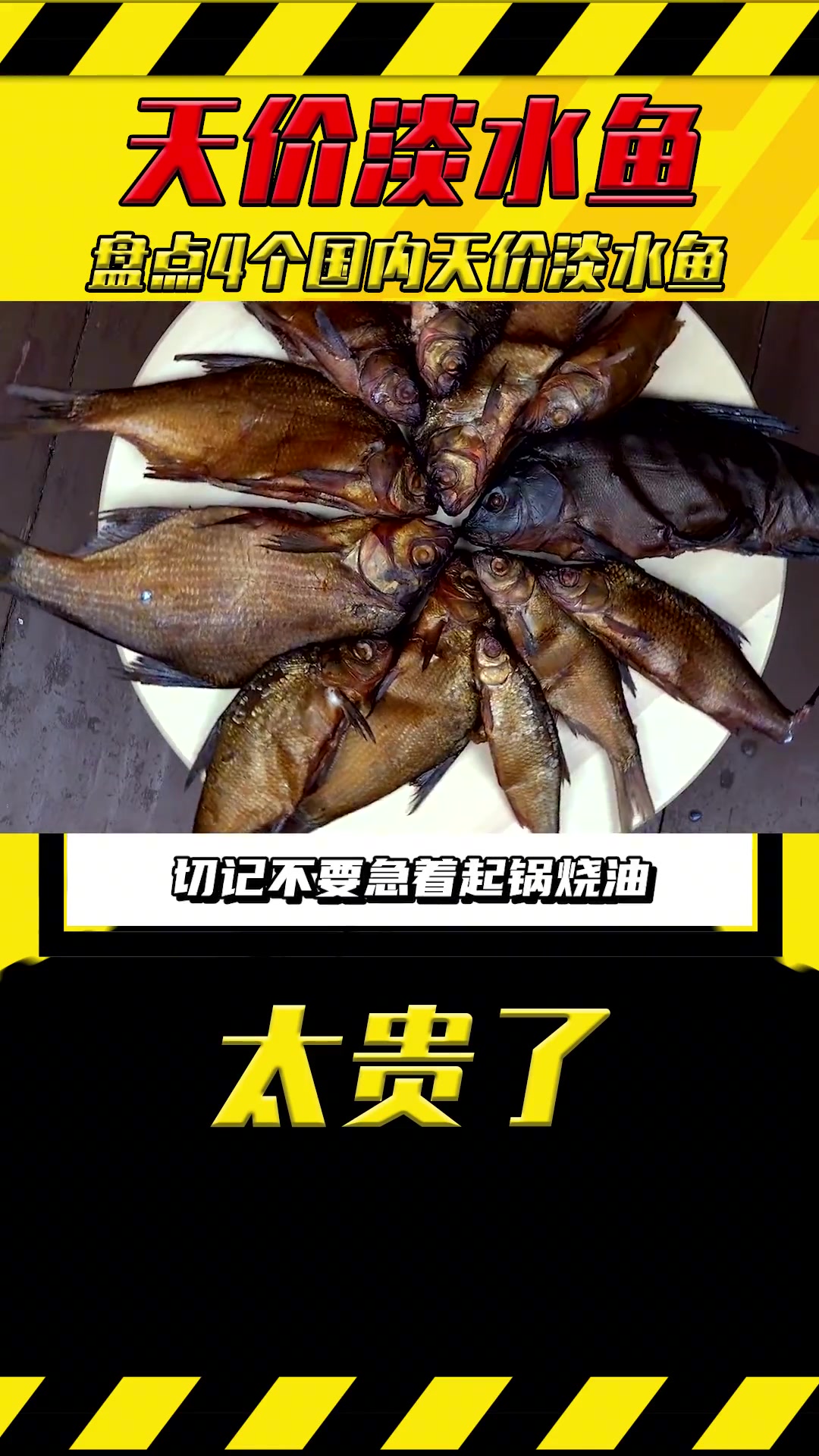 盘点国内最贵淡水鱼,长江刀鱼7800只能排第二