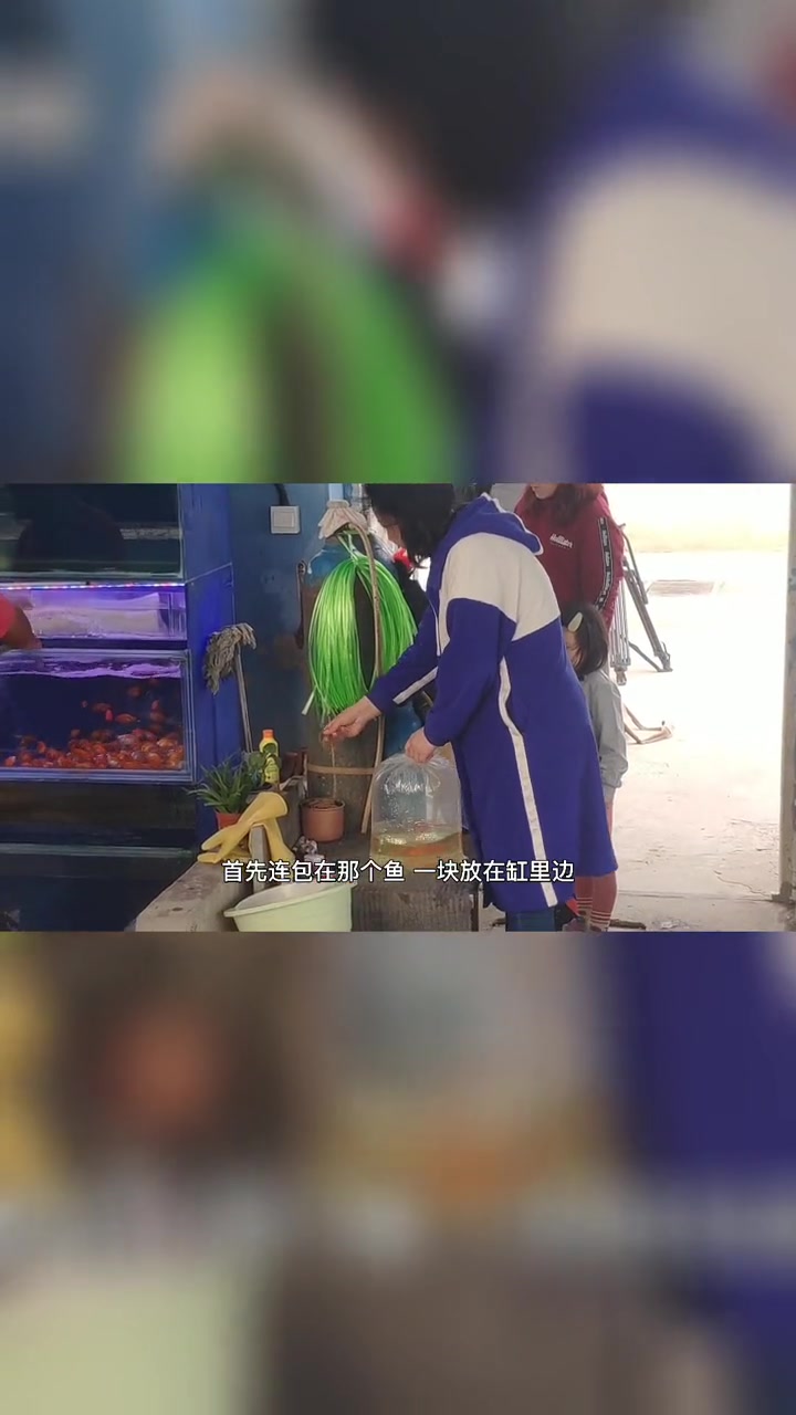 金鱼新手问 大概多长时间换一次水?新买来金鱼就喂食?