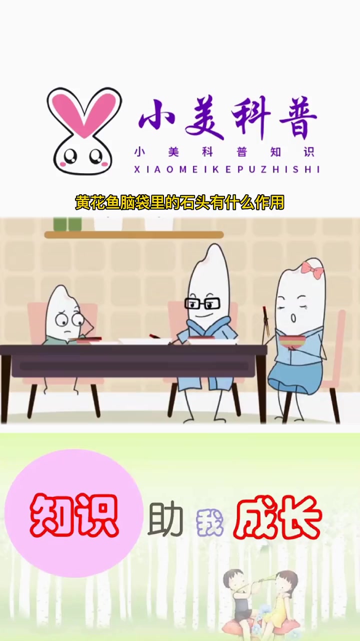 黄花鱼脑袋里为什么有块石头?有什么作用