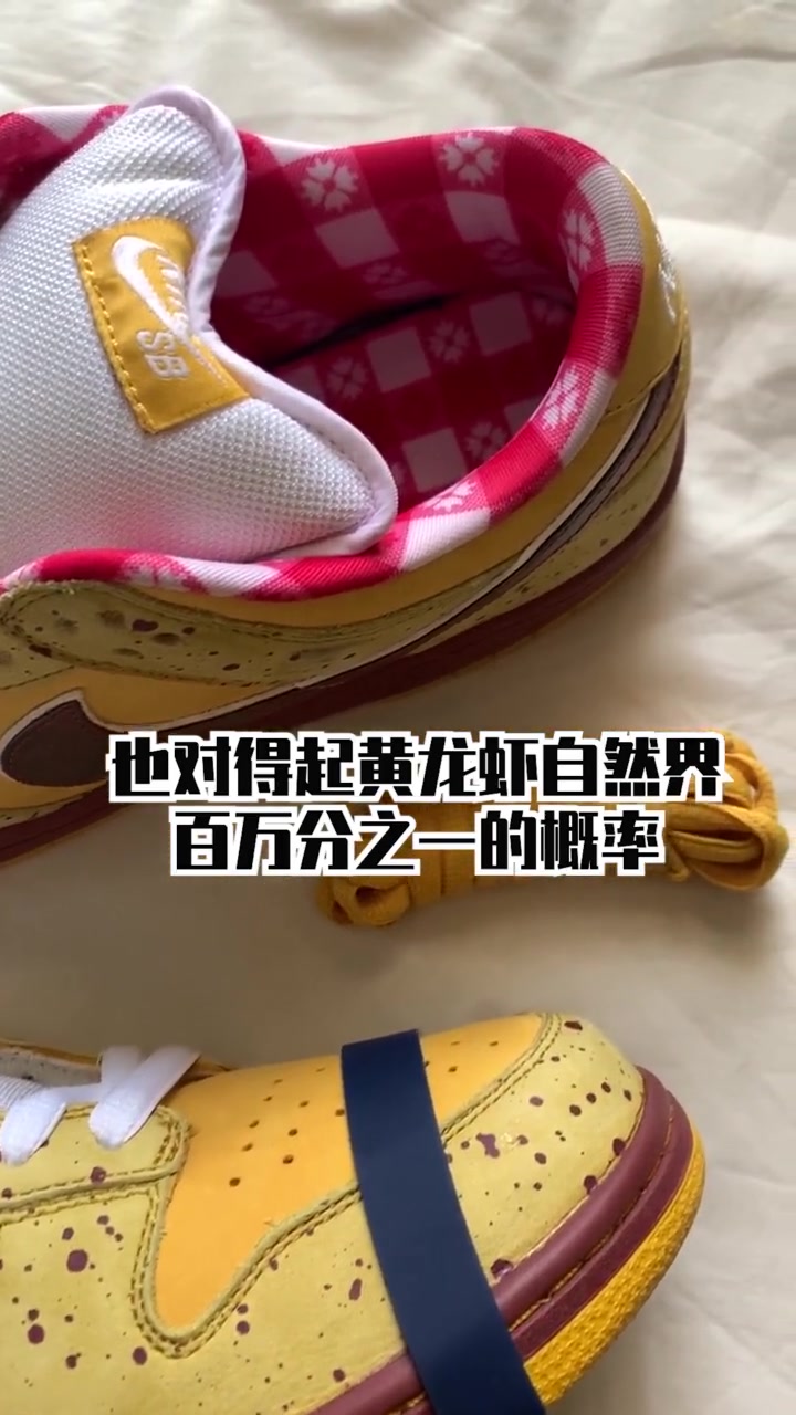 nike龙虾 dunk 大集结!