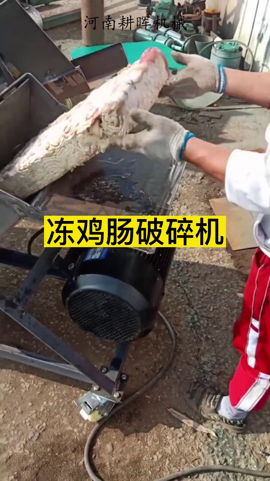 冻鸡肠破碎机 冷冻肉粉碎机 冻脆骨鱼饲料打碎机