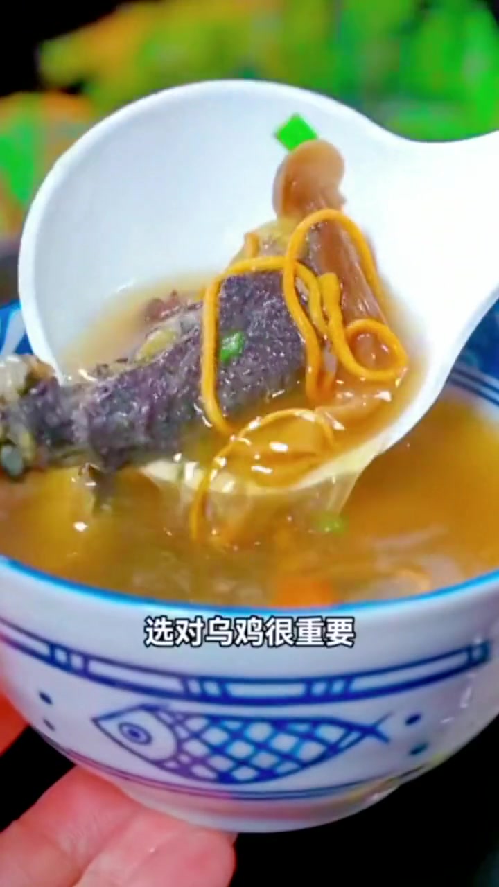 第2集|秋冬季正是喝乌鸡汤的好季节,做好汤就用这种 农家散养乌鸡 乌鸡直播卖货第Y名 优质