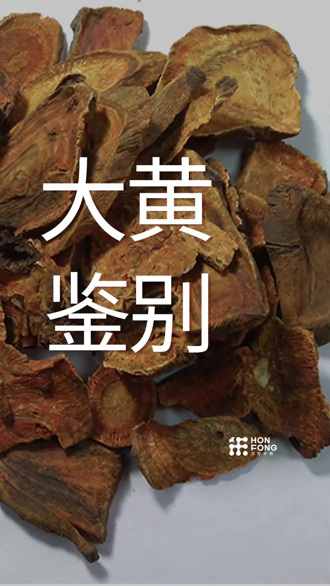 大黄真伪鉴别,大黄全品种最详细的讲解!