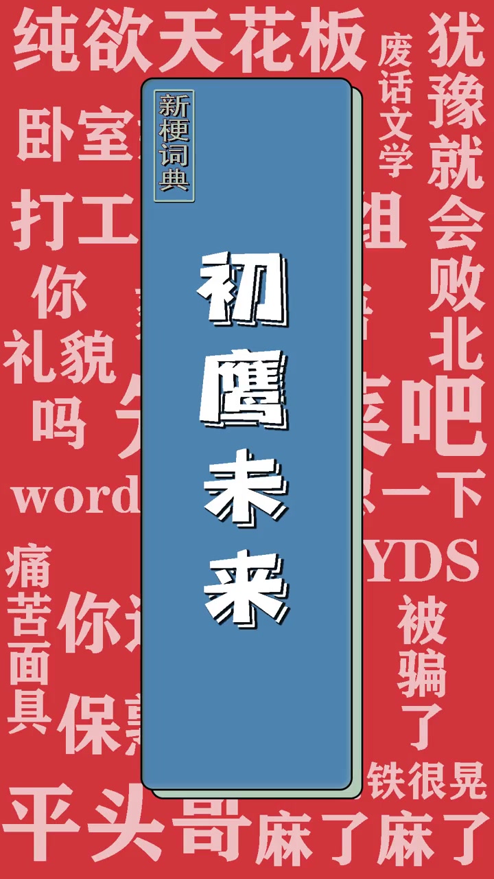 《鹰的传人》初鹰未来 神鹰黑手哥 新梗词典