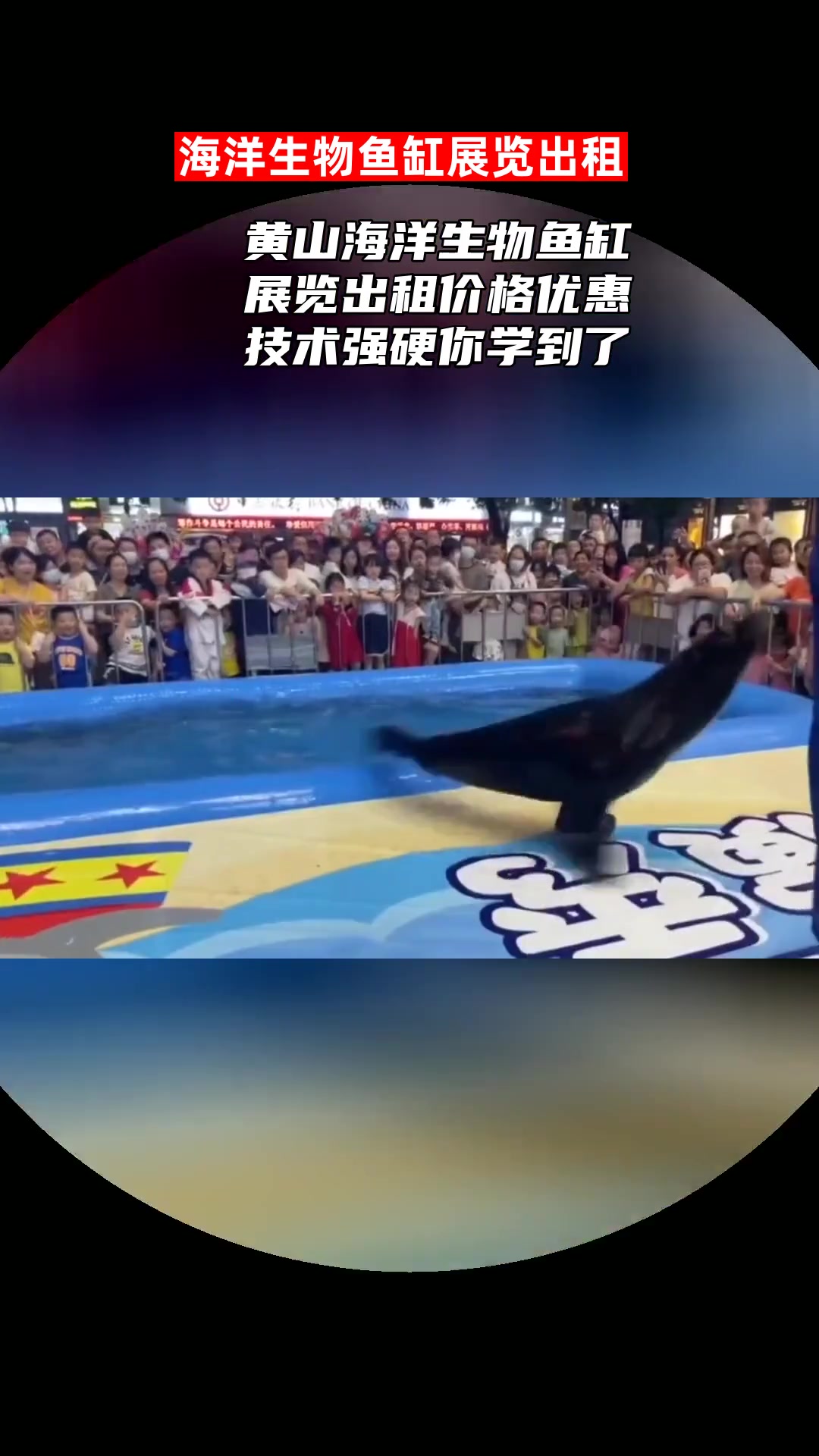 黄山海洋生物鱼缸展览出租价格优惠技术强硬你学到了吗?
