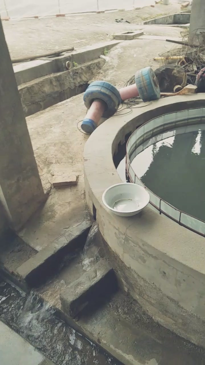 鱼苗水花孵化基地