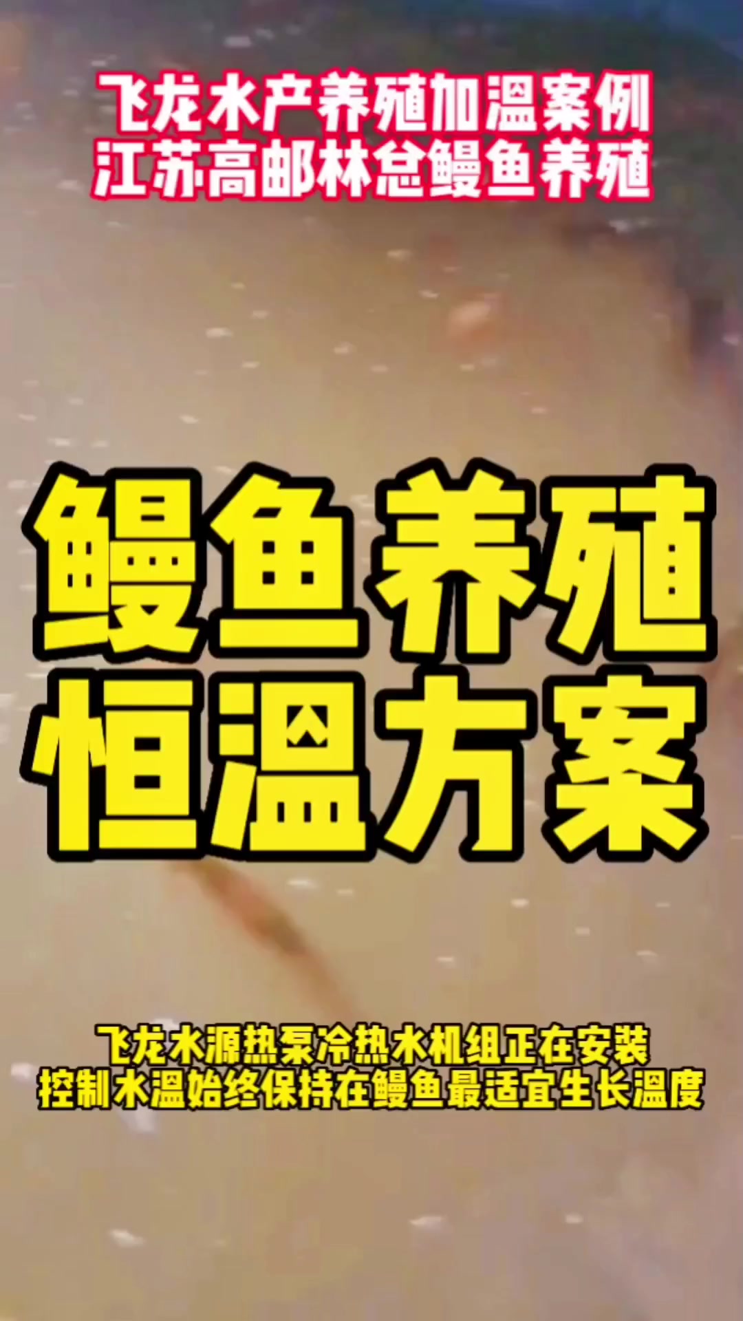 飞龙水产养殖加温案例,江苏高邮林总鳗鱼养殖