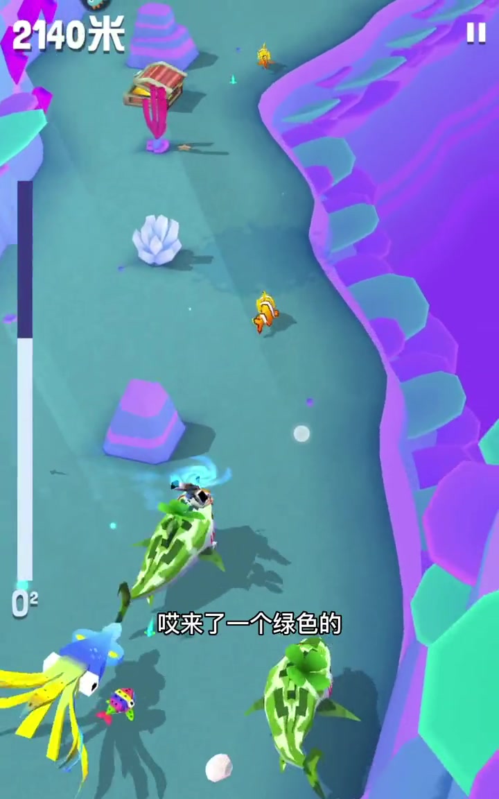 两条绿色环保鱼 疯狂动物园