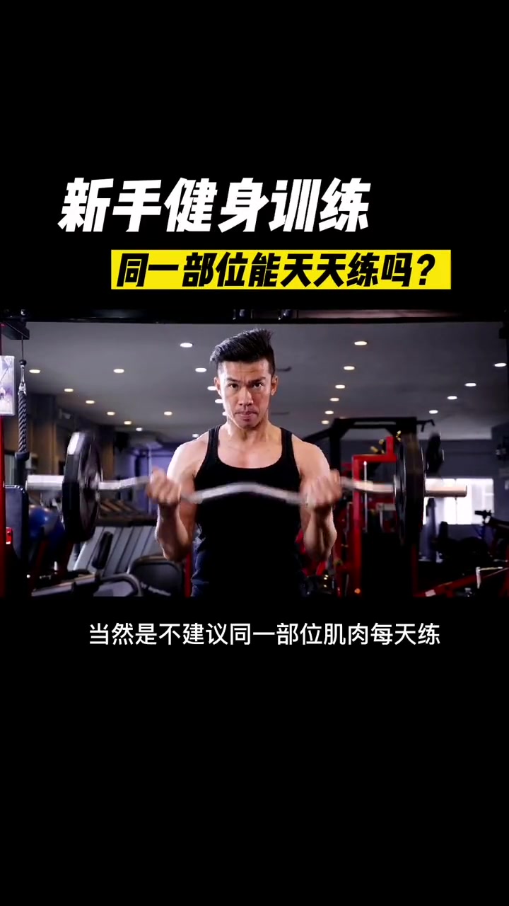 第27集|新手健身训练,同一部位肌肉能天天练吗?健身 增肌 新手健身 健身 知识