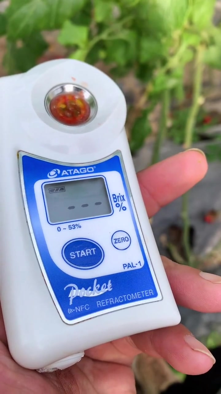 创作灵感 瓜果增甜用甜7,甜瓜西瓜水果都能用,不含激素增糖更安全 新农人计划2023 乡村