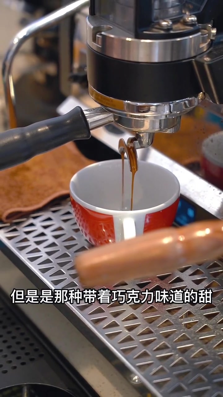 第3集|把巧克力加入拿铁就是摩卡 咖啡 拿铁 摩卡 dp燕麦摩卡 leo和dp咖啡 素食 