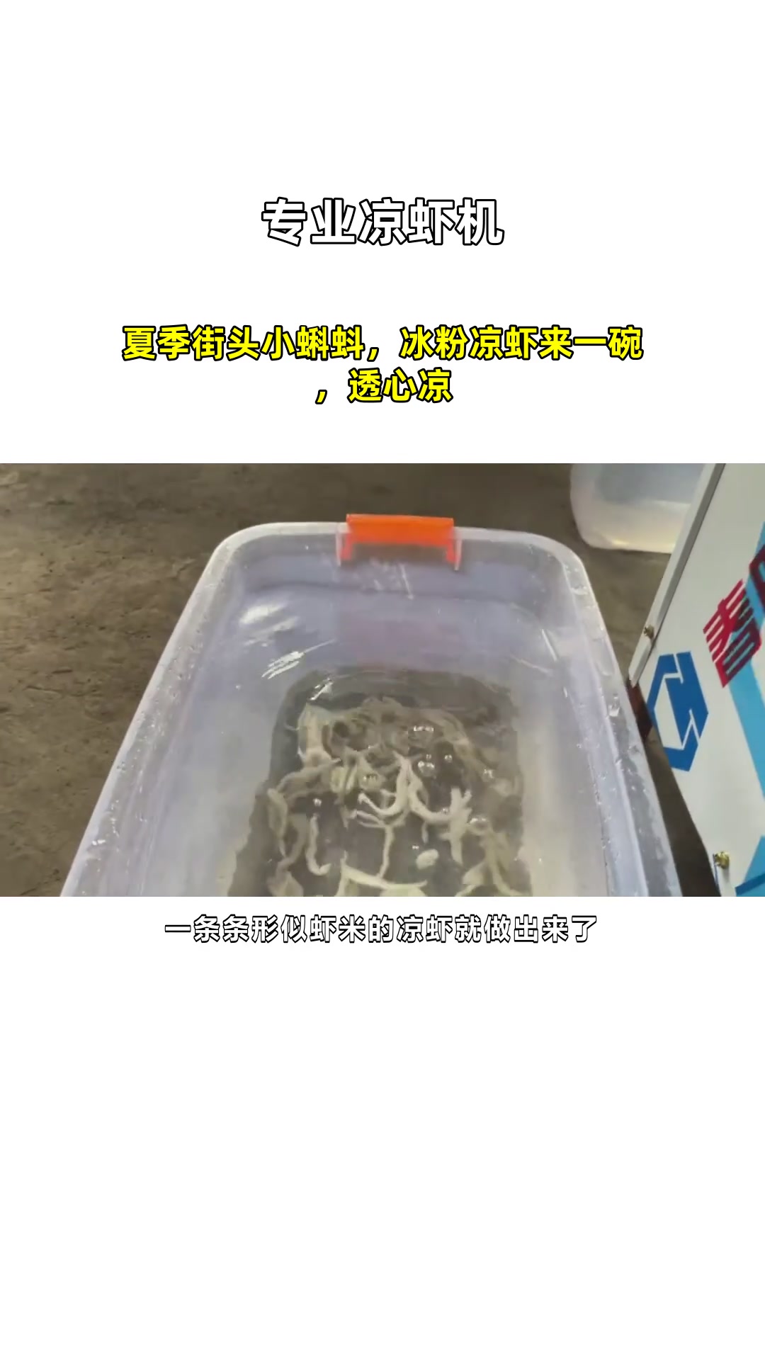 夏季街头小蝌蚪,冰粉凉虾来一碗,透心凉