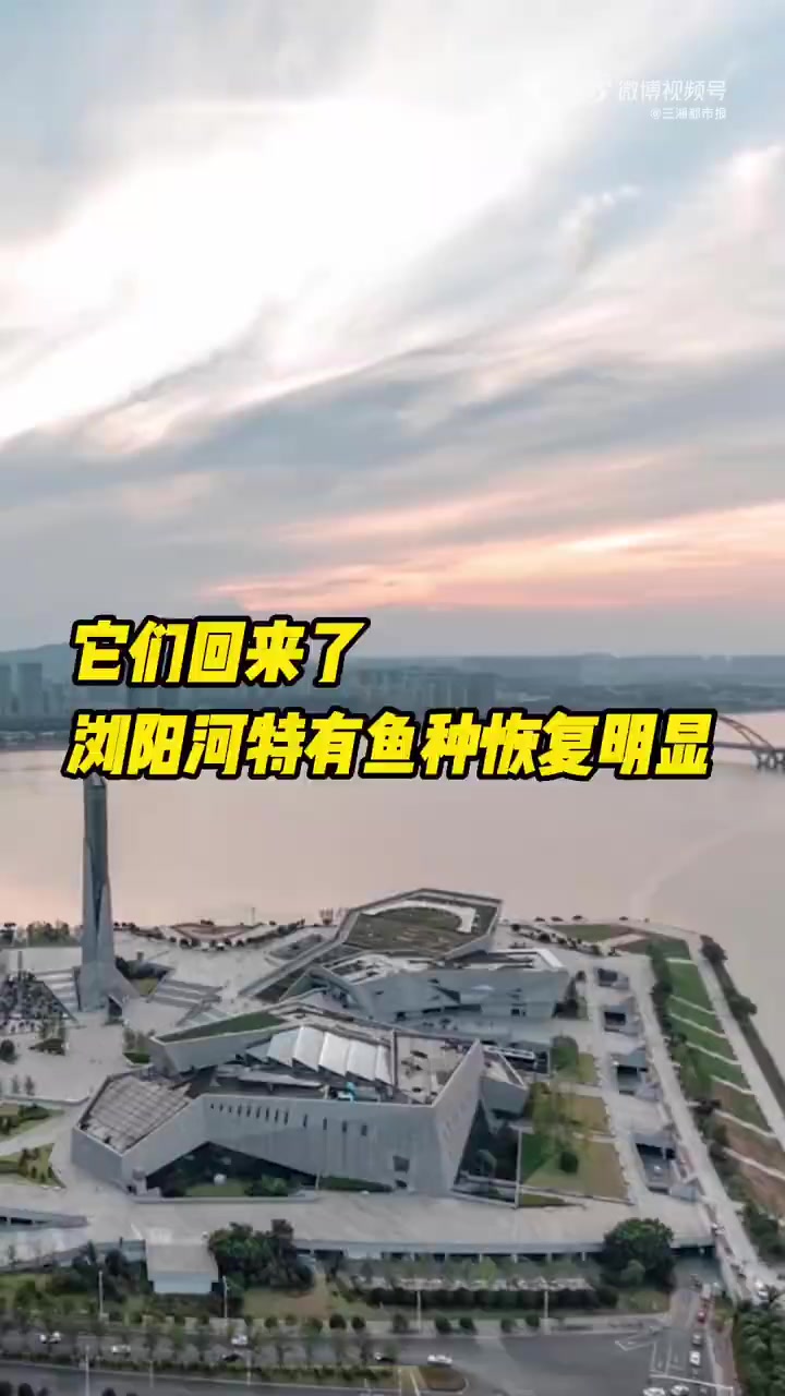 「神奇生物在哪里 ·湘江篇|浏阳河特有鱼种恢复明显」自2021年1月长江流域重点水域“十年